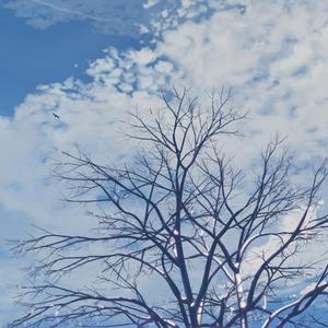 丰满熟女性爱电影
