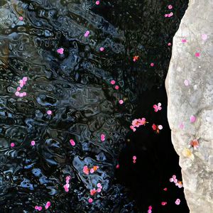 丰满熟女性爱电影
